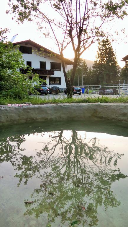 Dreimaederlhaus Am Berg Apartment Pfronten Cameră foto